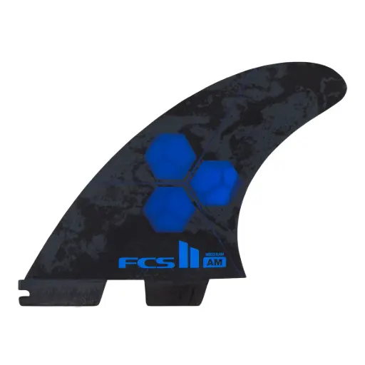 FINS FCS II AL MERRICK PC (