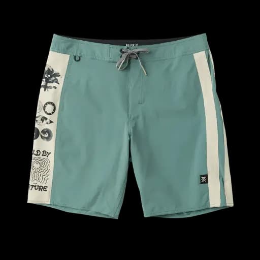 BOARDSHORTS ROARK PASSAGE PANEL