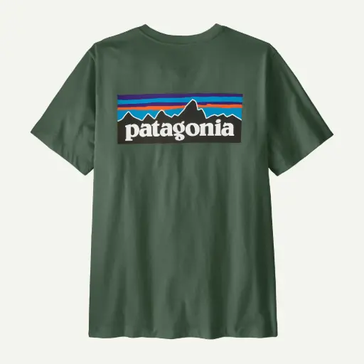 T-SHIRT PATAGONIA P-6 LOGO - CNGR (